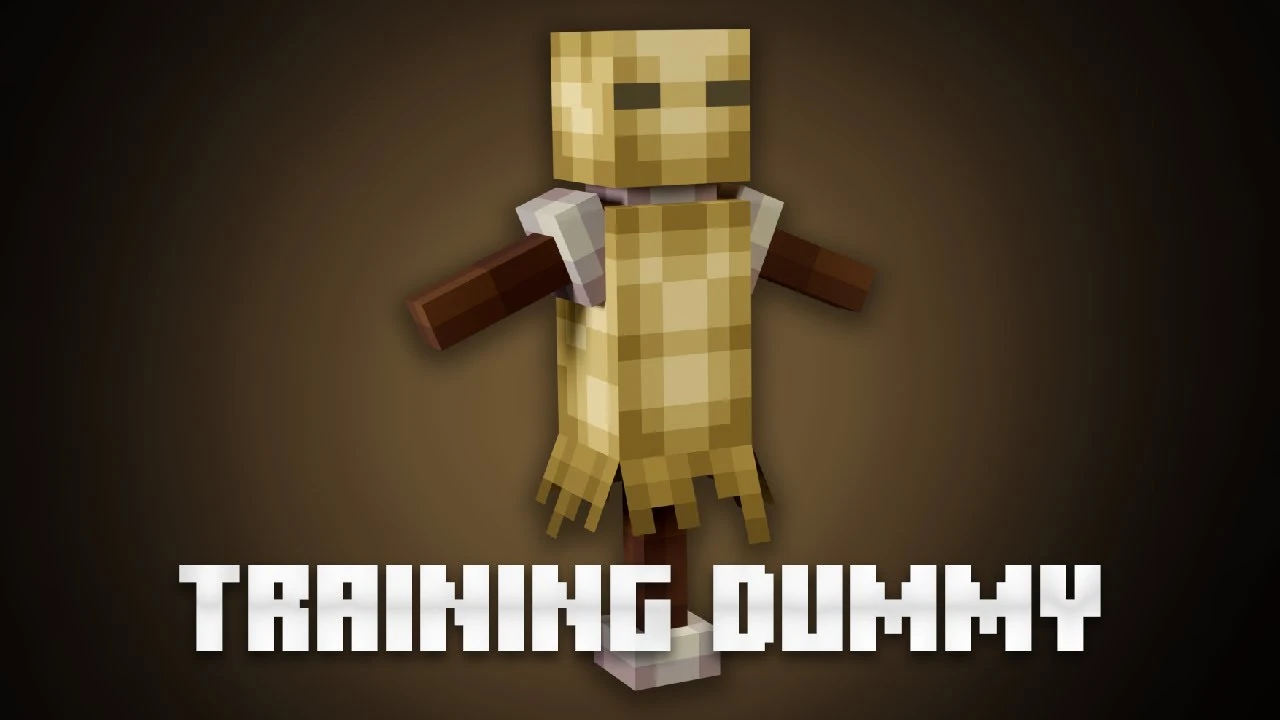 Training Dummy Model