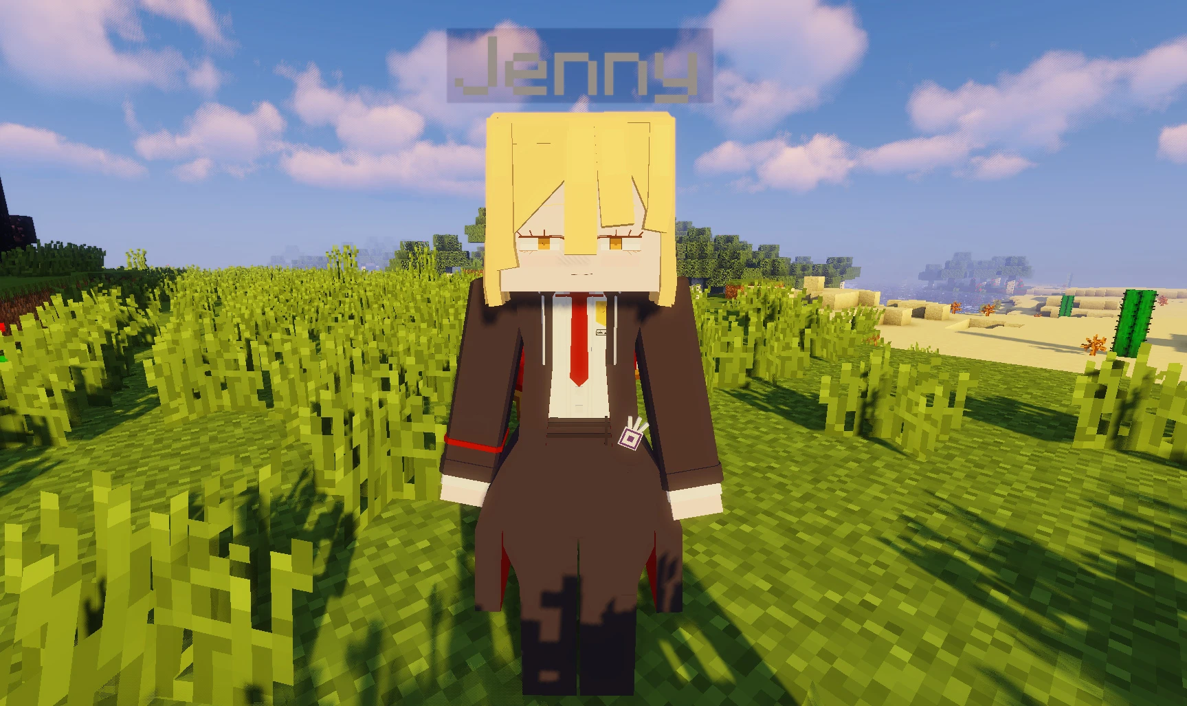 Don Quixote Jenny Mod Model