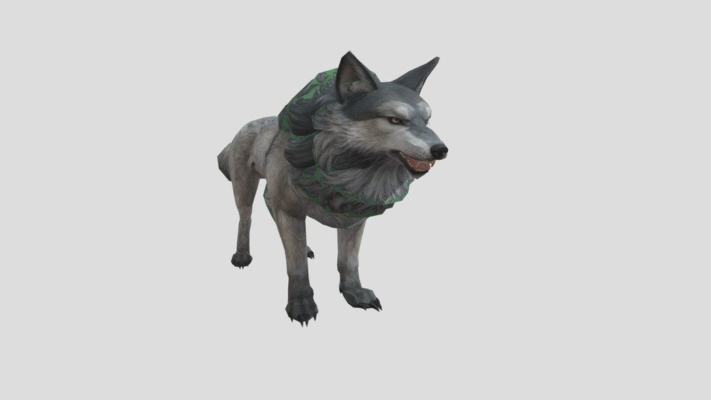 wild wolf