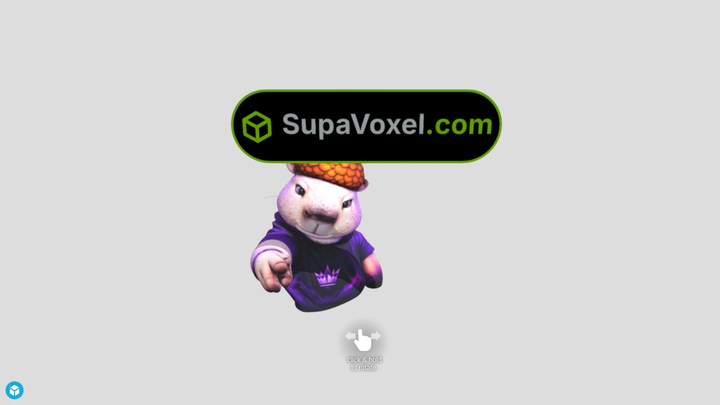 Capybara Acorn Hat - Trellis 3D vs SupaVoxel