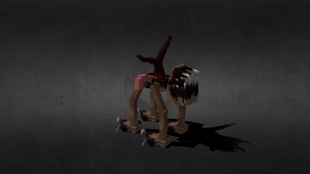 Patient