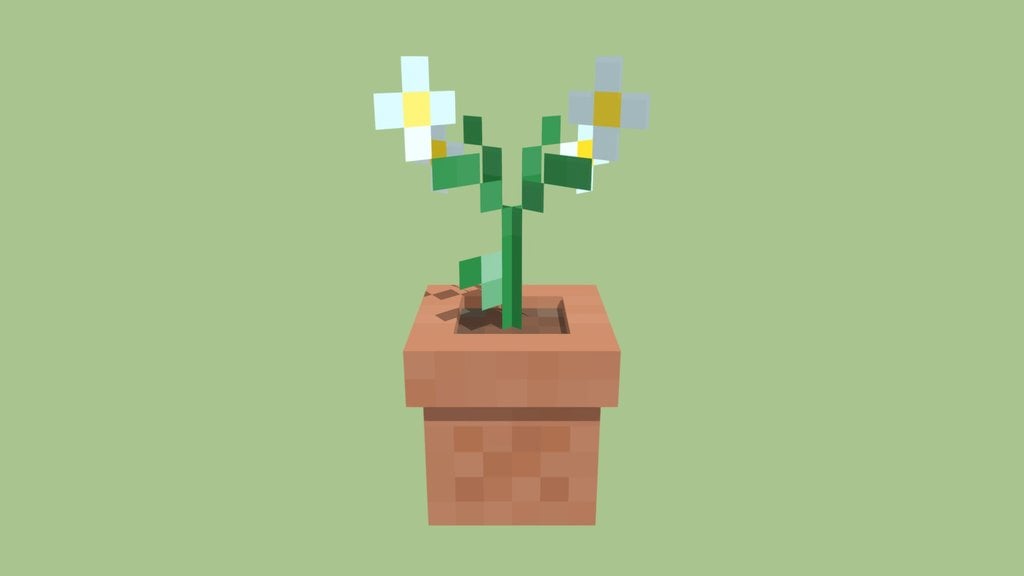 Flower Pot