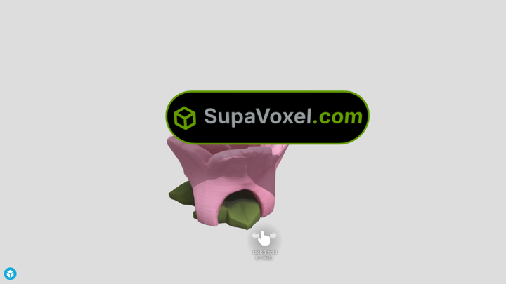 Flower Fairy House - Trellis 3D vs SupaVoxel