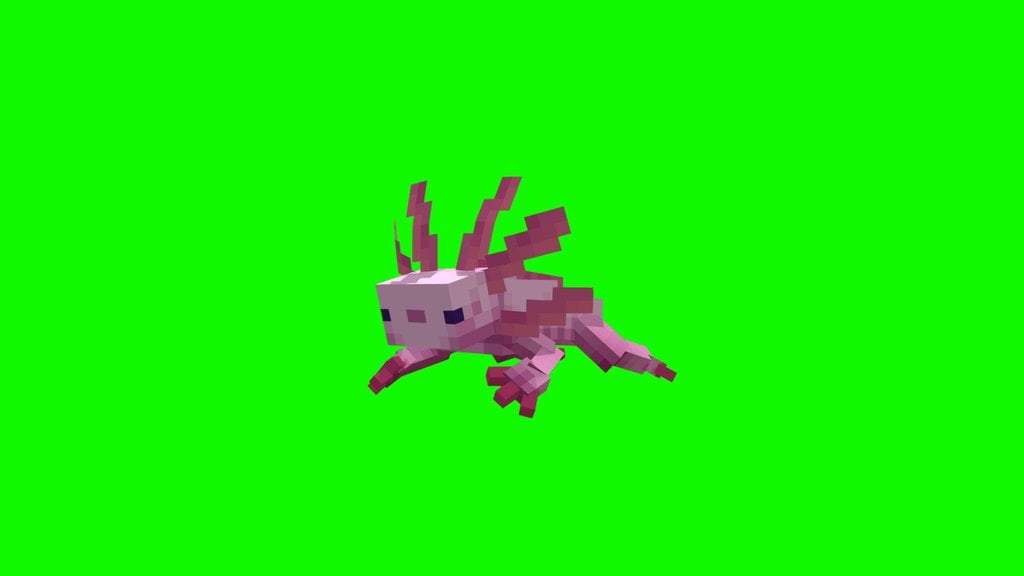 Mutant axolotl