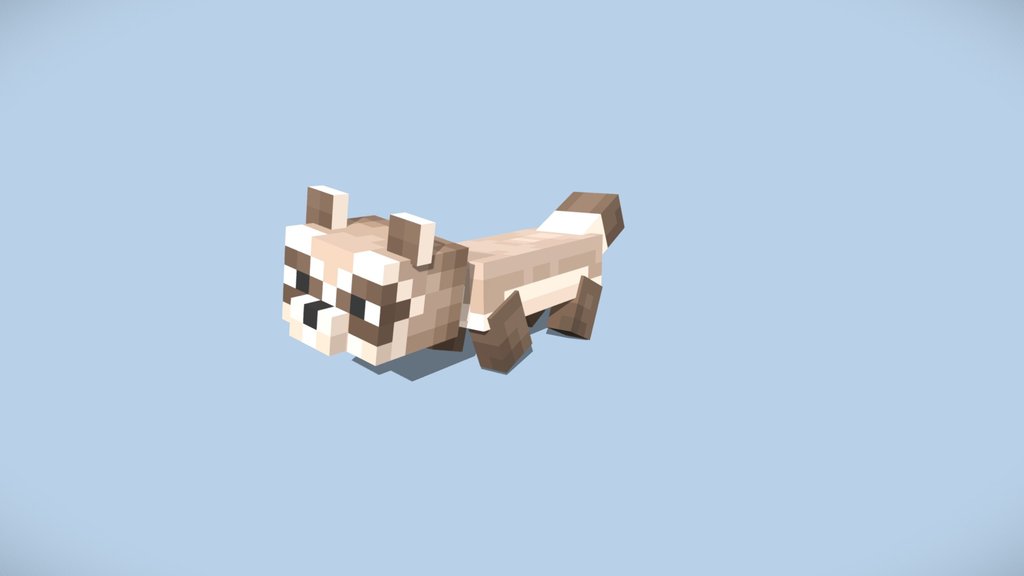 Black Footed Ferret