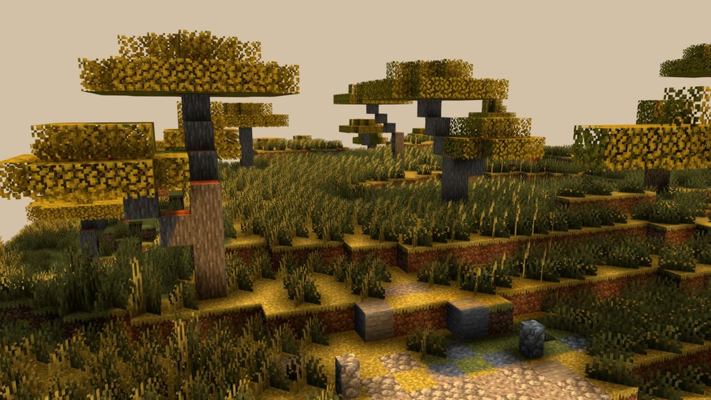 Savana Biome
