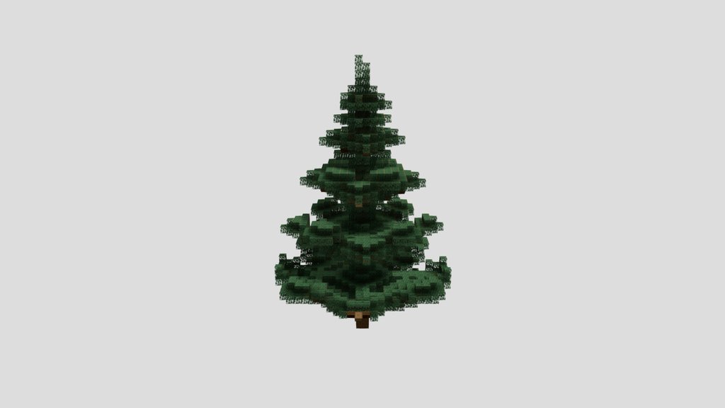 spruce-tree
