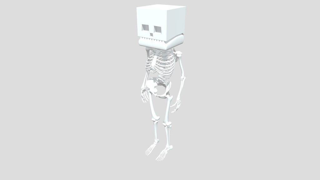 Realistic Minecraft Skeleton