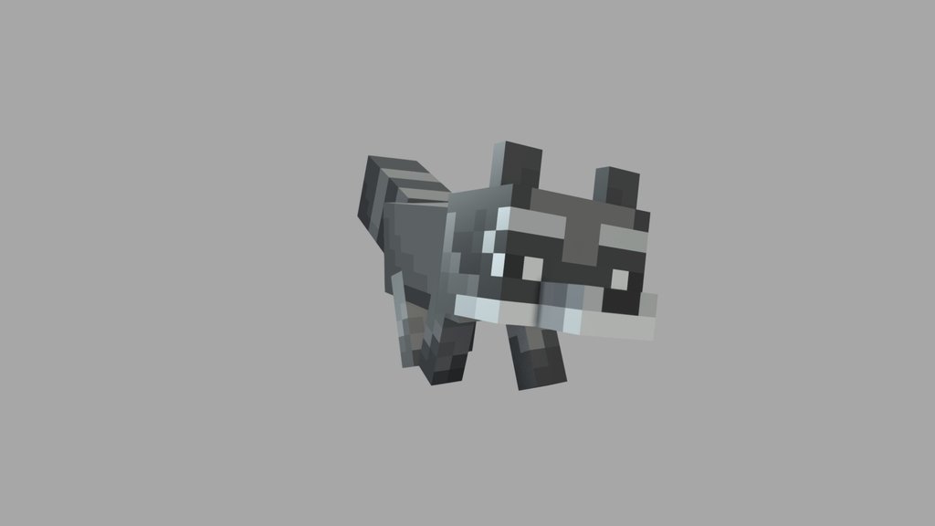 raccon