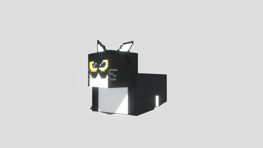Maxwell The Cat