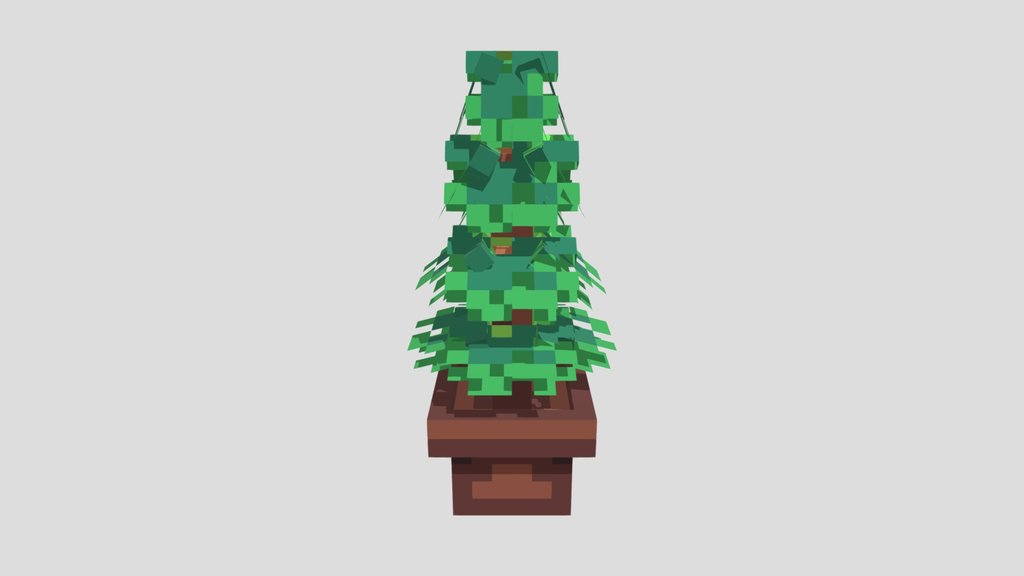 Pine Tree in a Pot