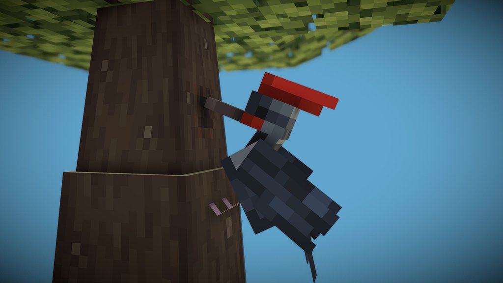 Woodpecker  [ scene ] [ downloadable ]