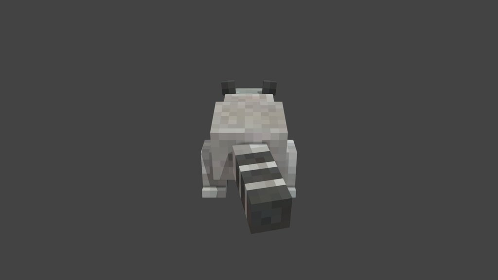 Raccoon