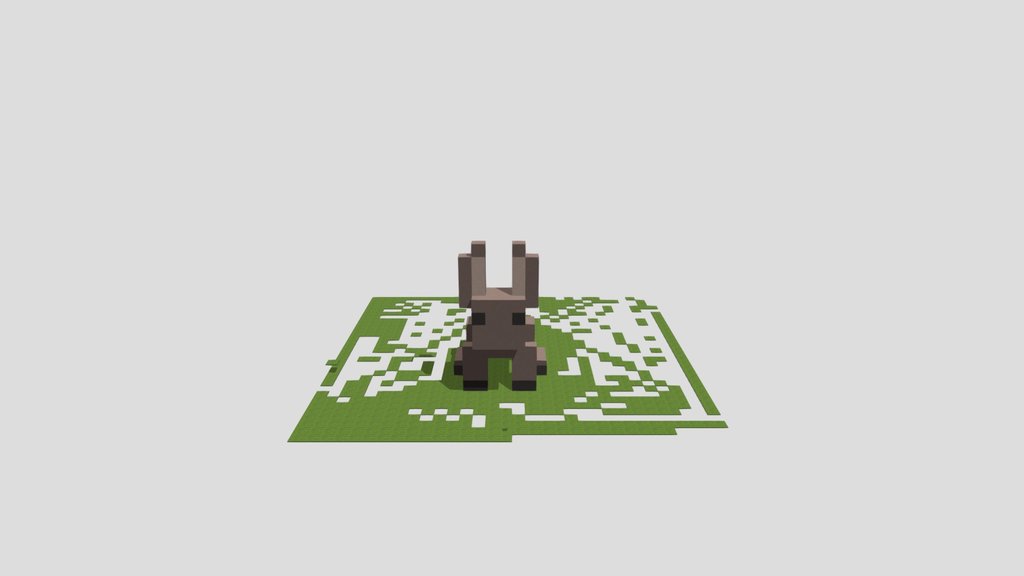Bunny