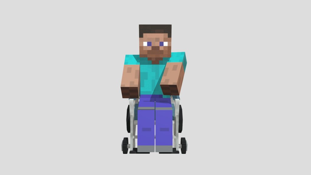 Wheelchair Steve