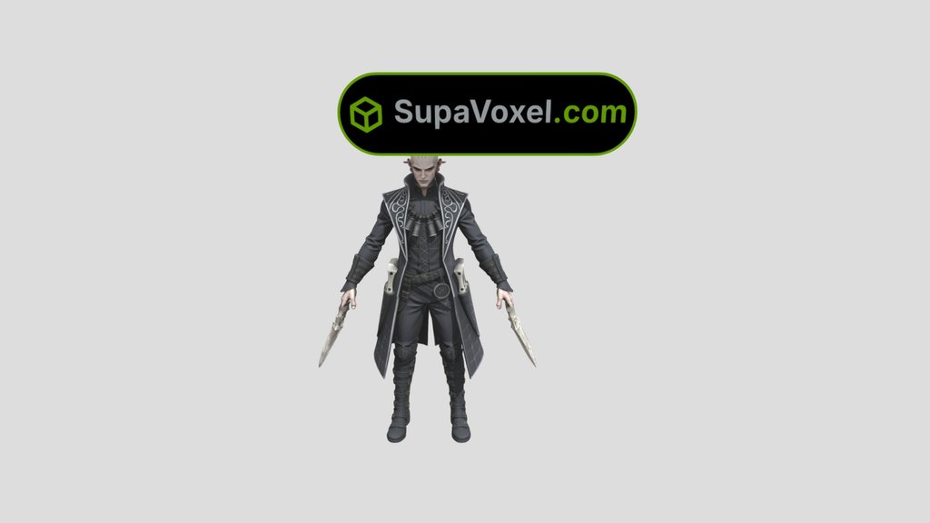 Elf Assassin Character - Hunyuan 3D vs SupaVoxel