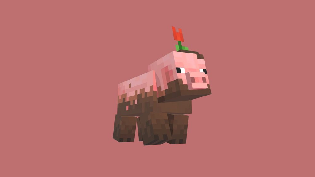 muddy pig