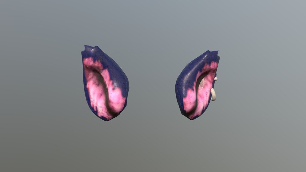 Aphmau Ein Ears