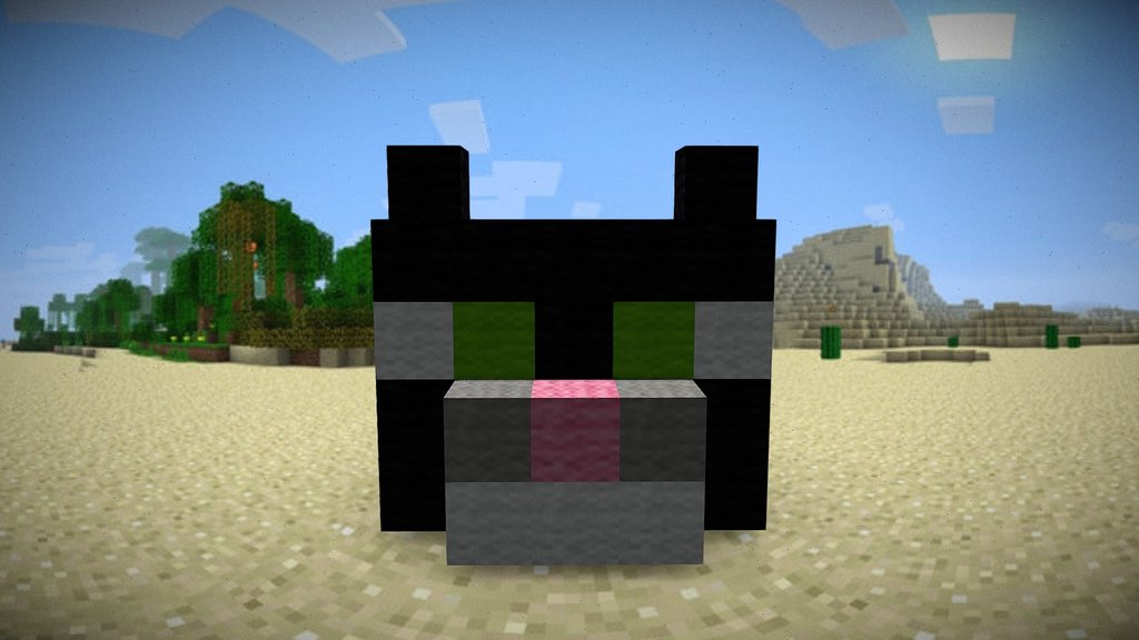 Minecraft Cat Head made out Wool