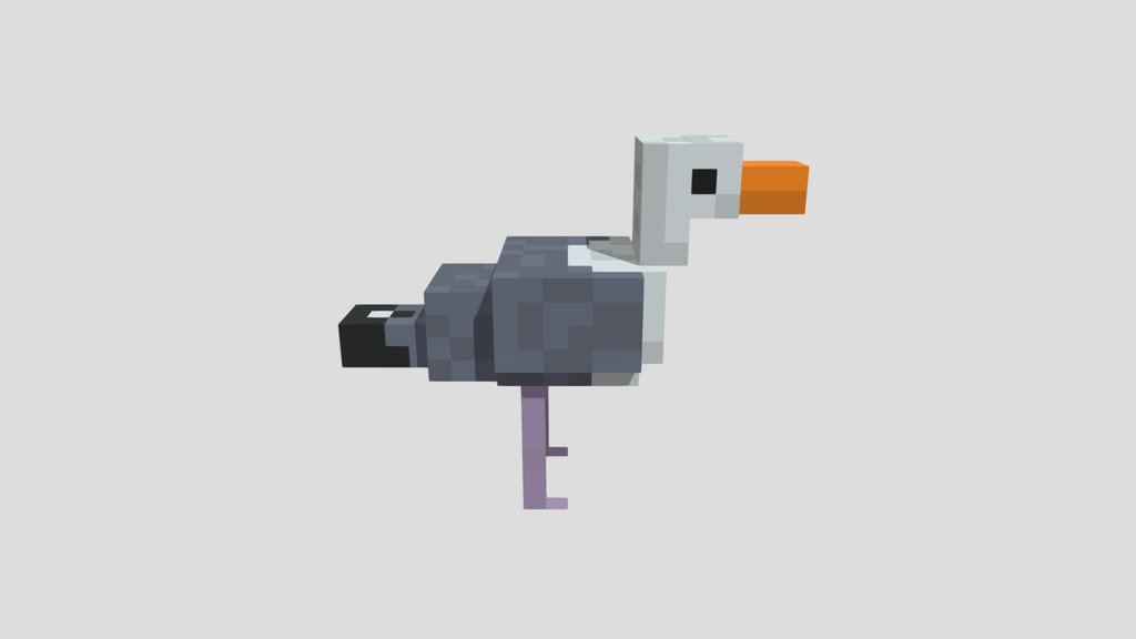 Seagull